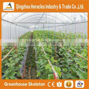 Heracles Trade Saaurance Good Quality uv Plastic Poly Tunnel Greenhouse for Sale photo-3