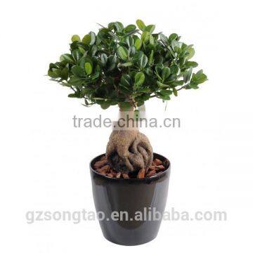 Artificial Bonsai Tree Topiary Gingseng Ficus Bonsai Tree photo-4