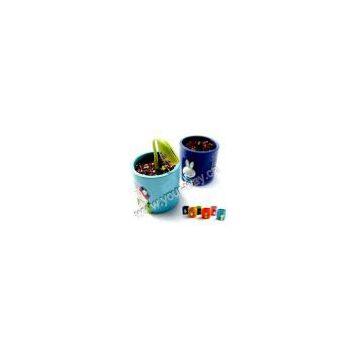 Cartoon Magic Bean,magic Egg,mini Plant