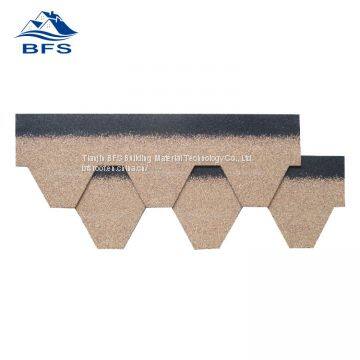 Hexagonal Asphalt Shingle photo-2