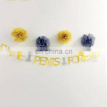 Bachelorette Party Bridal Shower Glitter Paper Hen Party Same Penis Forever Banner photo-2