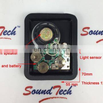 Electronic Components Alert Sound Device for Car photo-6