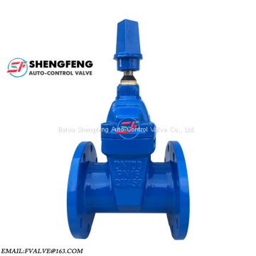 BS5163 Non Rising Stem Resilient Seat DN50 DN100 ductile iron gate valve