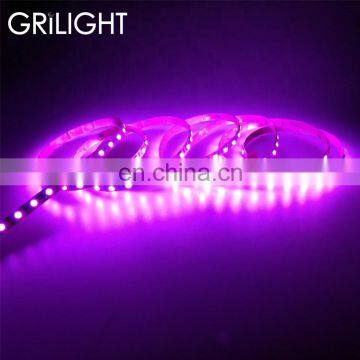 Shenzhen factory 12v 24v 60leds per meter ul listed rgb led strip