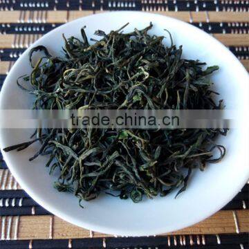 xinyang maojian green tea