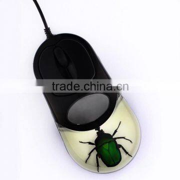 New design computer mouse with real insect