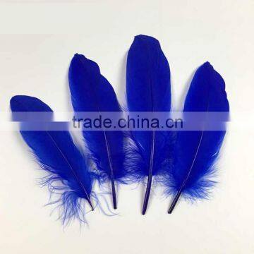 wholesale dyed royal blue goose feathers colored for sale