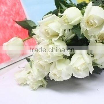 Durable Tineke White Rose Balls Wedding photo-6