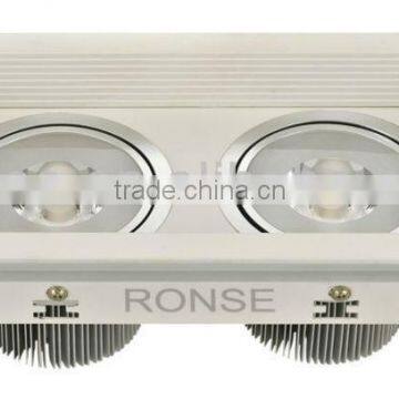 30W cob led ceiling spot light (RS-2113B-2)