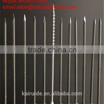 Wholesale on Hot Sale Building Materials Common Iron Wire Nail/common Iron Wire Nail Factory photo-6