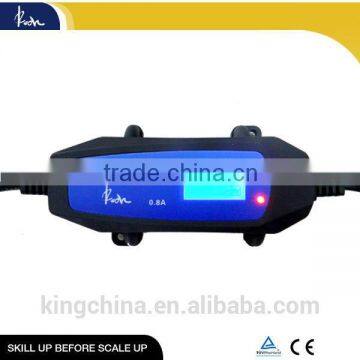 battery charger,compensation charging,pulse current charging