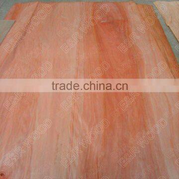 Burckella Veneer (MLH Veneer)