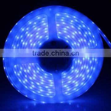 SDSLED IP67 30LED/m Blue flexible 3528 LED Strip Light