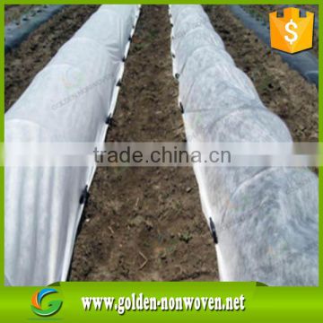 non woven cover fruit bags fabric/spunbonded polypropylene nonwoven fabric for agri use/white land cover non-woven fabric