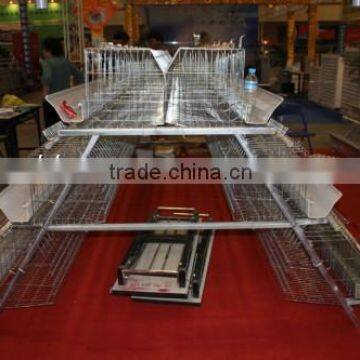Anping Factory Galvanized Layer Chicken Cages/Battery Cage photo-6