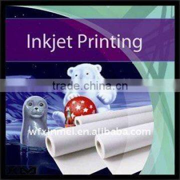 Manufacturer 100% cotton printing canvas (eco-solvent ink support)