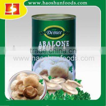 Canned Mushroom Canned Abalone Mushroom