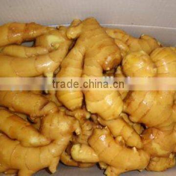 New crop buyer of dry ginger with high quality