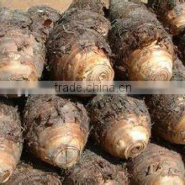 New Crop Dried Taro With High Quality