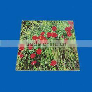 Printed Paper on Board