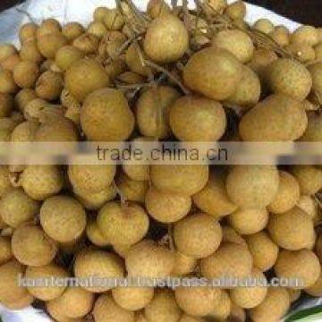 Vietnam Amazing Longan photo-5