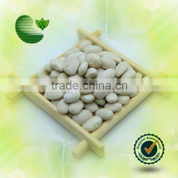 2015Crop Medium White Kidney Bean (Square Type)