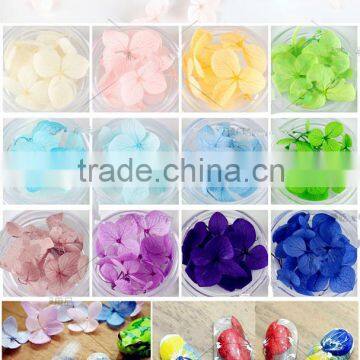 2016 New Trends Promotional Nail suppliers 12 colors for nail art dry flower 3d Flower decal