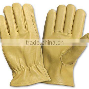 Sports Gloves