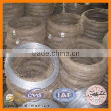 Electro Galvanized Iron Wire/ Galvanized Iron Wire/ Electro Galvanized Wire (More than 10 years factory)