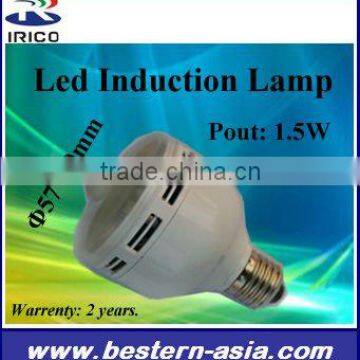 LED Induction Lamp