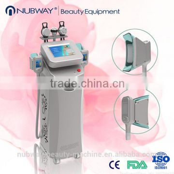 Lastest cryolipolysis machine fat frozen cryolipolysis body contouring machine