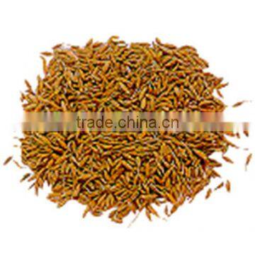 Cumin From India photo-4