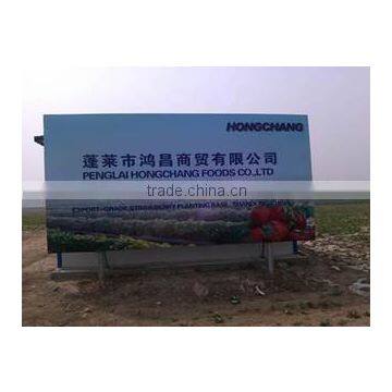 Penglai Hongchang Foods Co., Ltd.