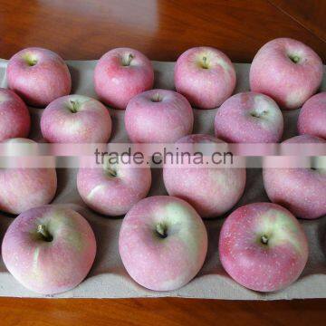 2015 crop fresh fuji apple