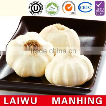 ISO 9001 fresh chinese natural white garlic