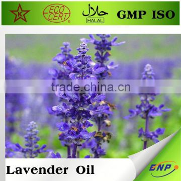 alibaba china bulk lavender lavender oil