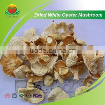 Most Popular Dried White Oyster Mushroom