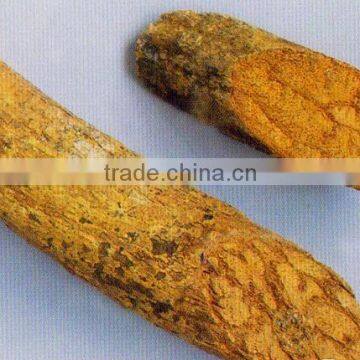 Dried Caulis Erycibes