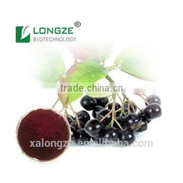 Plant Extraction Manufacturer Supply High-quality Healthcare Supplement Natural and Aronia Chokeberry Fruit Powder