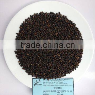 VIETNAM BLACK PEPPER FAQ 570gl