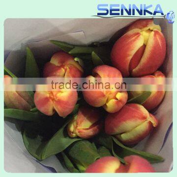 Quality Fresh Cut Flower in China /design Roses/jasmine/decorative Natural Flowers photo-2