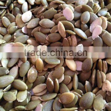 Shine Skin Pumpkin Seeds Kernel Grade A