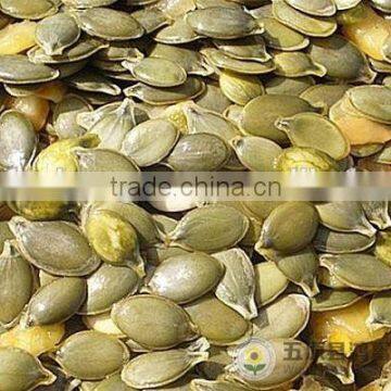 China Organic Pumpkin Kernels Grow Without Shell for Oil Use photo-3