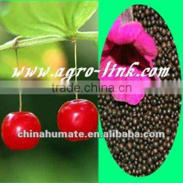 Granular fertilizer humic acid & amino acid