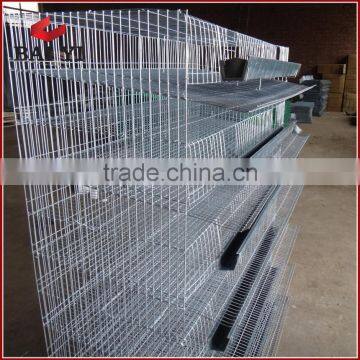 H Type Wire Mesh Quail Cage( Best Quality, Competitive Price )