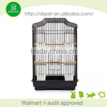 DXPC009 China Supplier Professional Made Outdoor Cheap Parrots for Sale photo-3