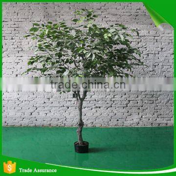 High Quality Lmitation Artificial Ficus Tree photo-2