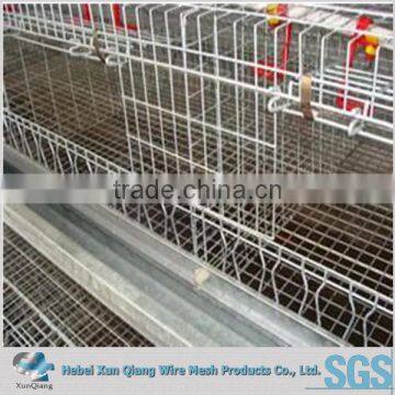high quality china metal chicken layer cage