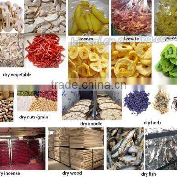 1000kg/h Spice Drying Machine Exw Price photo-4