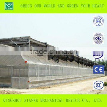 Double-layer Film Greenhouse for Seeding photo-5